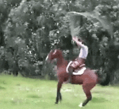 Horseyyy